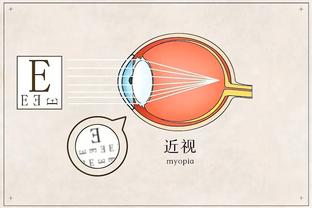 开云官网登录入口网址查询系统截图3